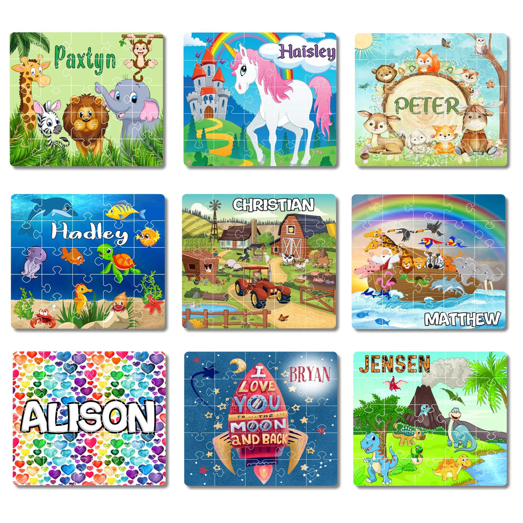 Collection of Acrylic Puzzles